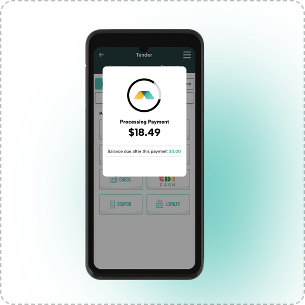 Modisoft Handheld payment screen